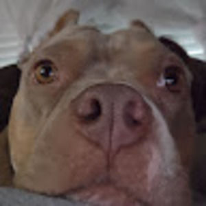 Meet your Posher, Hailey